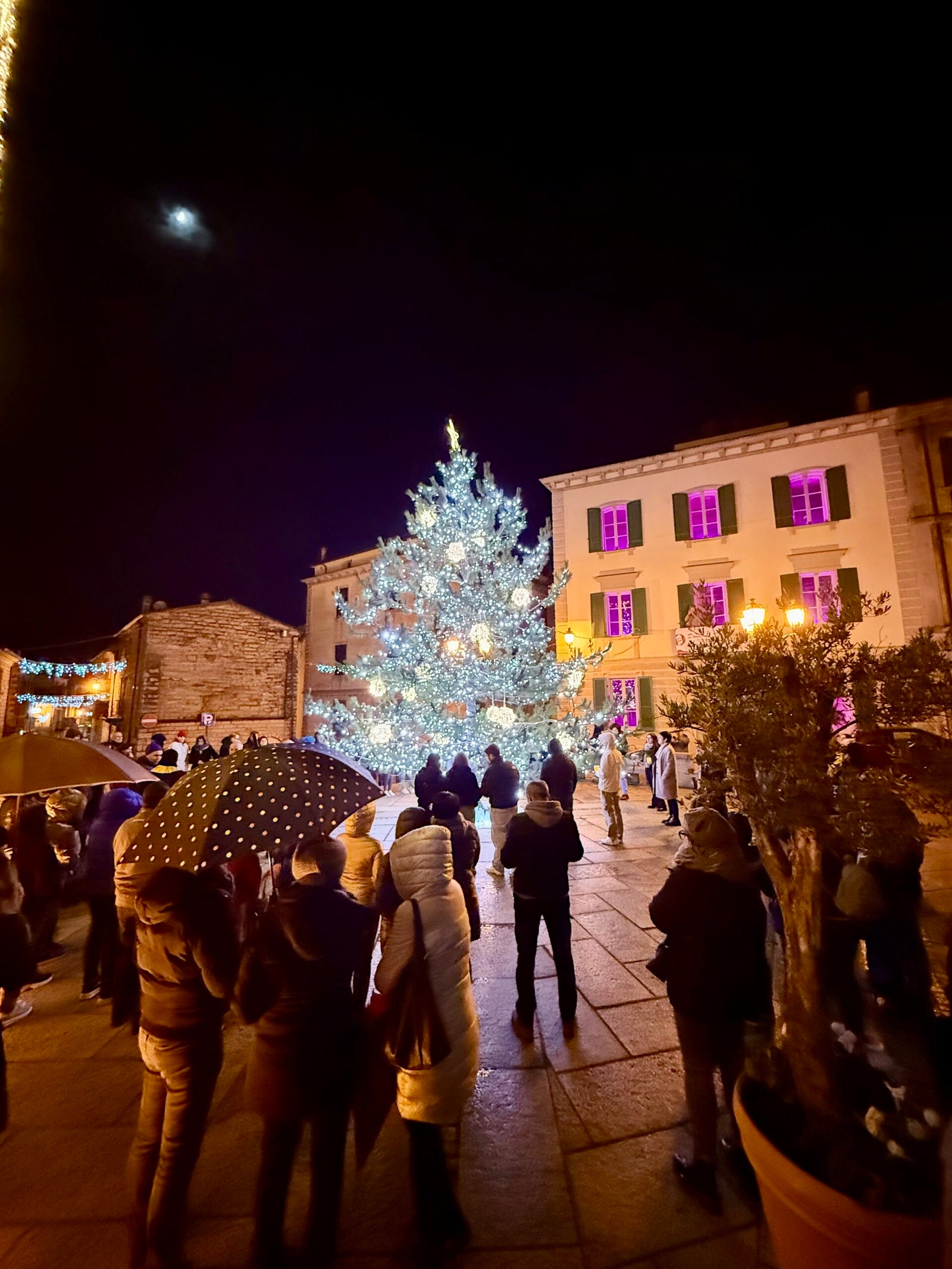 Scorcio di Luras